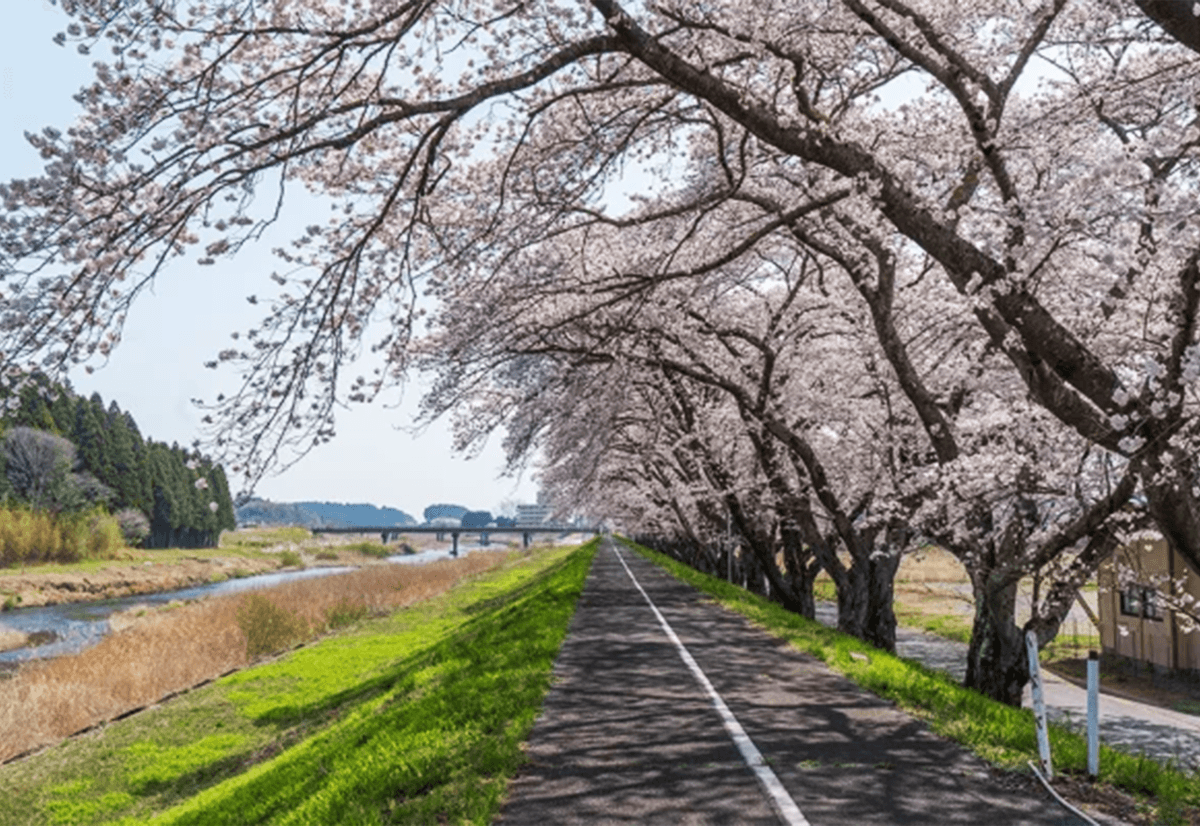 請戸川リバーライン