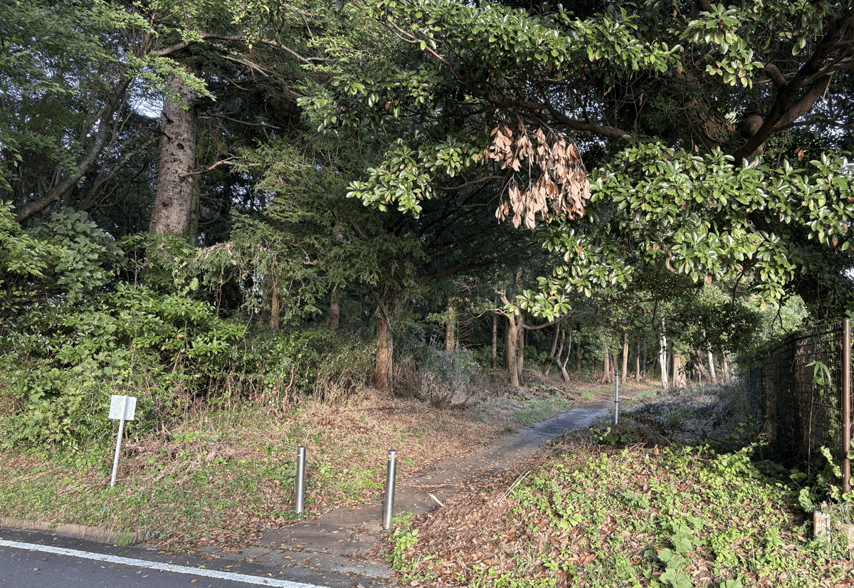 サイクリングロード