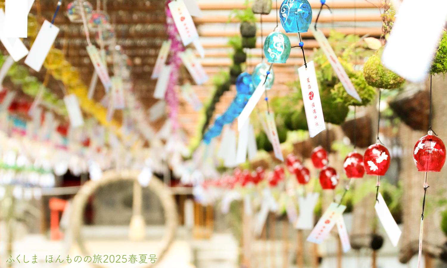参道を鮮やかに彩る風鈴に涼を感じる夏詣。いわき市「國魂神社