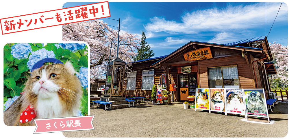 新メンバーも活躍中！