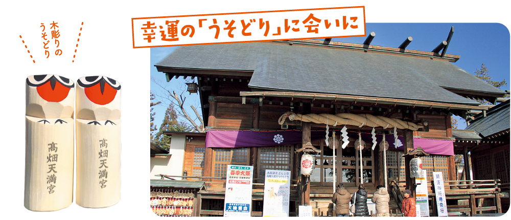 幸運の「うそどり」に会いに