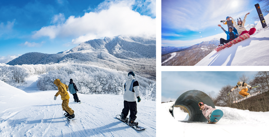 おすすめアクティビティランキング