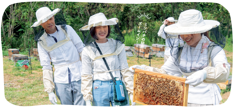 ミツバチの秘密にズームイン!