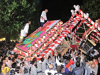 こういった映像が見られるはず!!