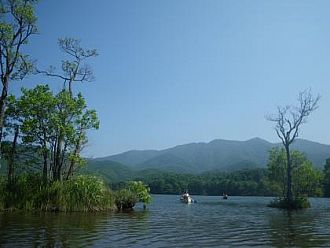 空、木々、カヌーのコラボ