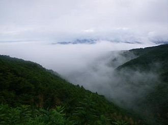 標高を上げると雲海でした（5日）