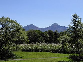 その周りのヨシ（アシ）の穂が、白くキラキラと輝き始めました