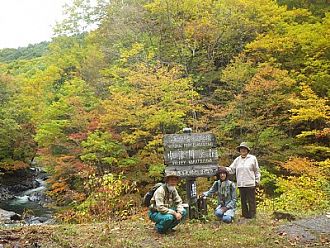 中津川渓谷の看板周辺も、色とりどり。