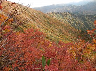 御神楽山（２３日撮影です！）