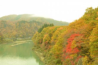 金山町四季彩橋からです！