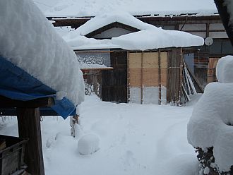 今朝の玄関前