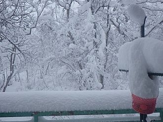 12月14日15時ころの積雪