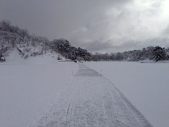 安全です！！！