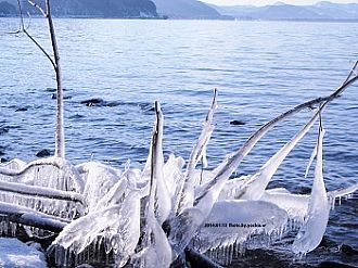 しぶき氷白鳥の舞