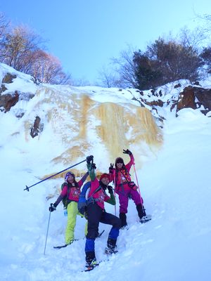 1月15日午前、見事なイエローフォールに！