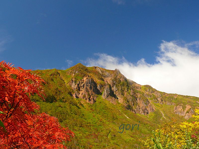 沼の平から山頂を望む