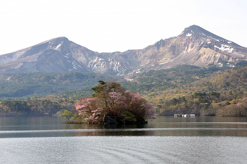 桧原湖桜島