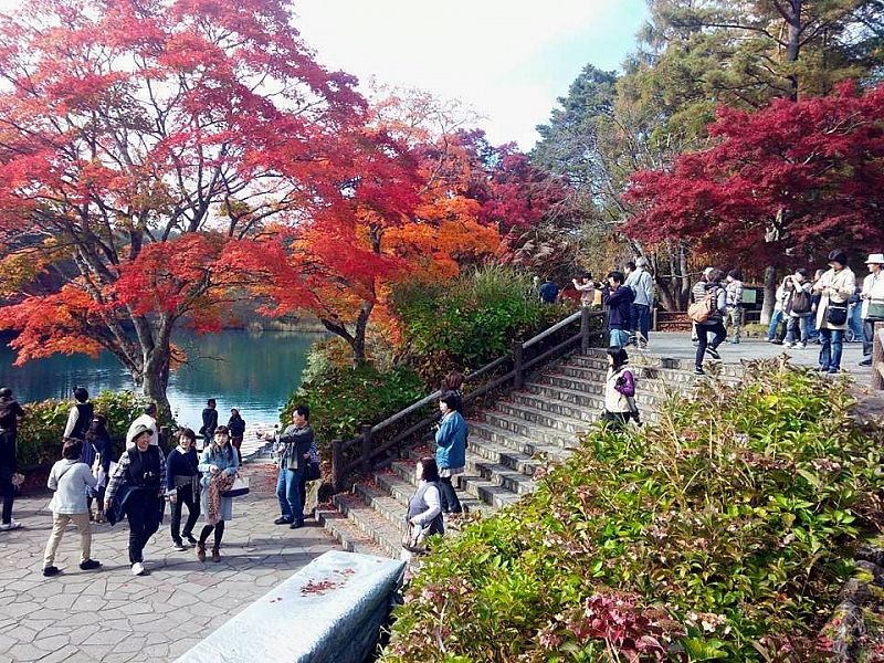 毘沙門沼の紅葉2