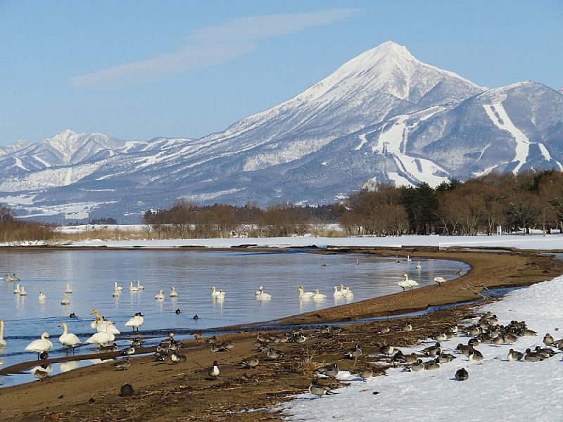 湖畔風景