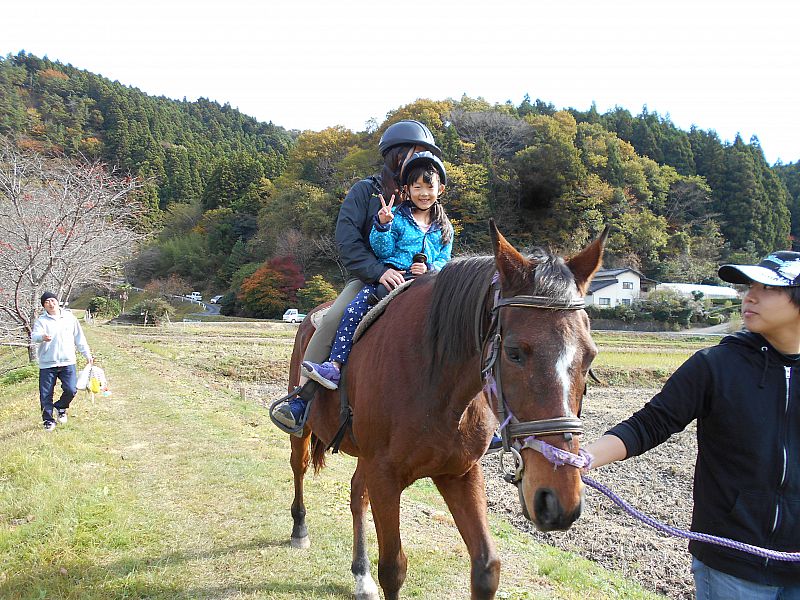 おとなしいサラブレッドに乗ります。