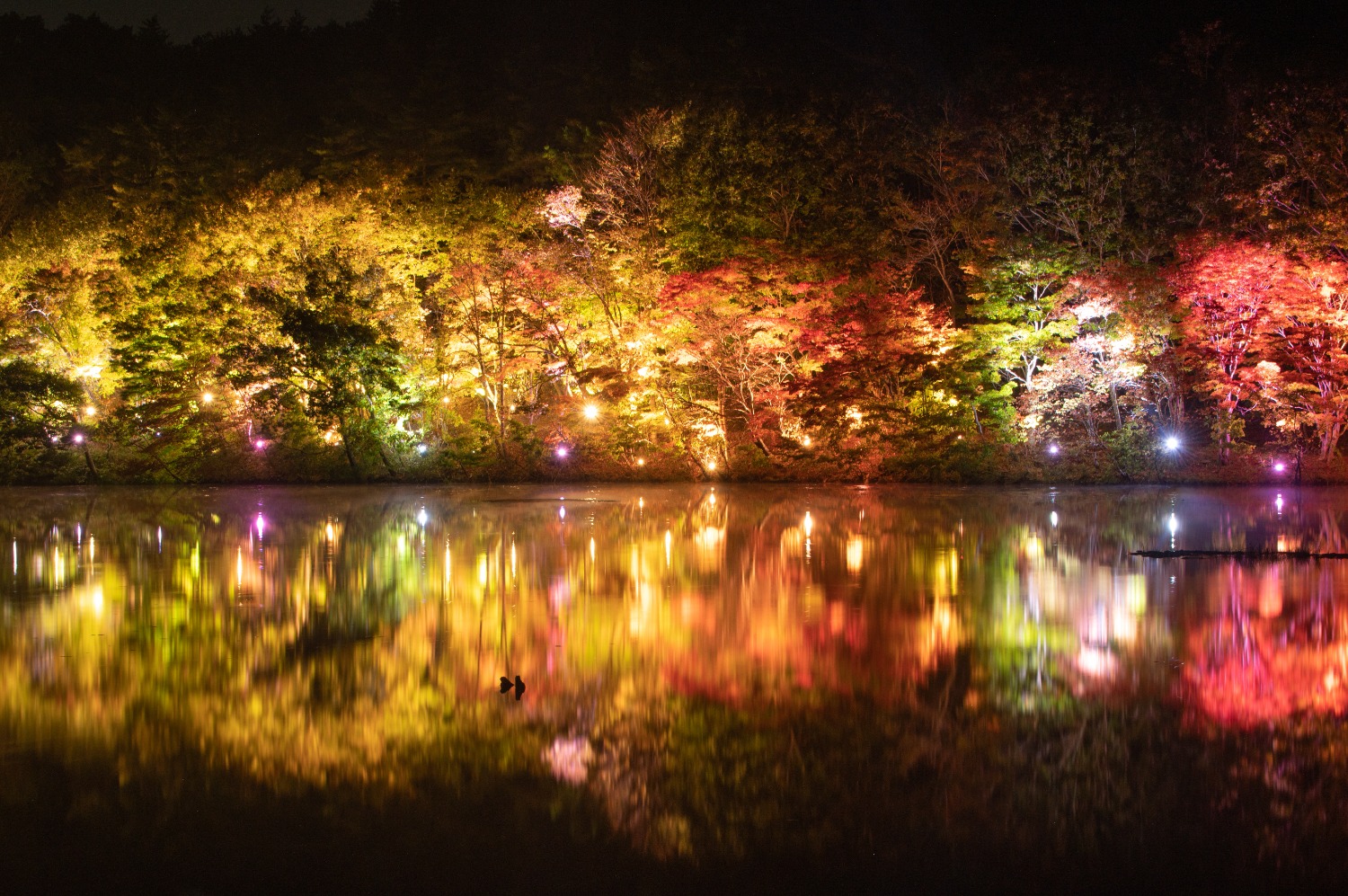 開催中止】観音沼森林公園紅葉ライトアップ - ふくしまの旅