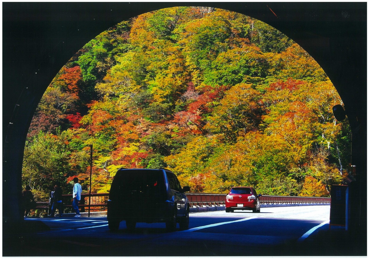 写真提供：西郷村