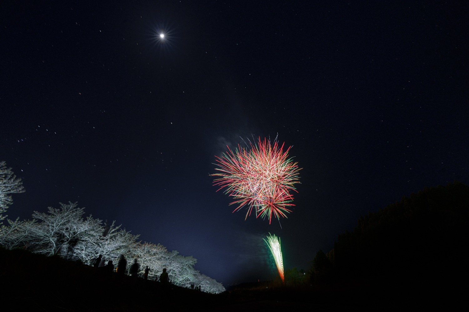 写真提供：浪江町