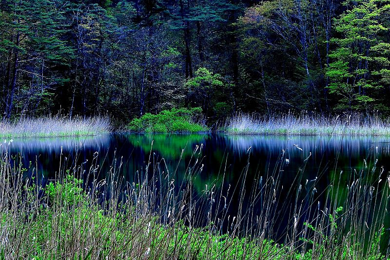 No.16254 神秘の沼（るり沼）(北塩原村)（みんなの投稿フォト） 福島県観光情報サイト「ふくしまの旅」[公式]