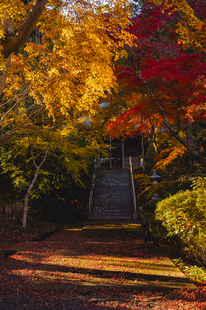 寳蔵寺
