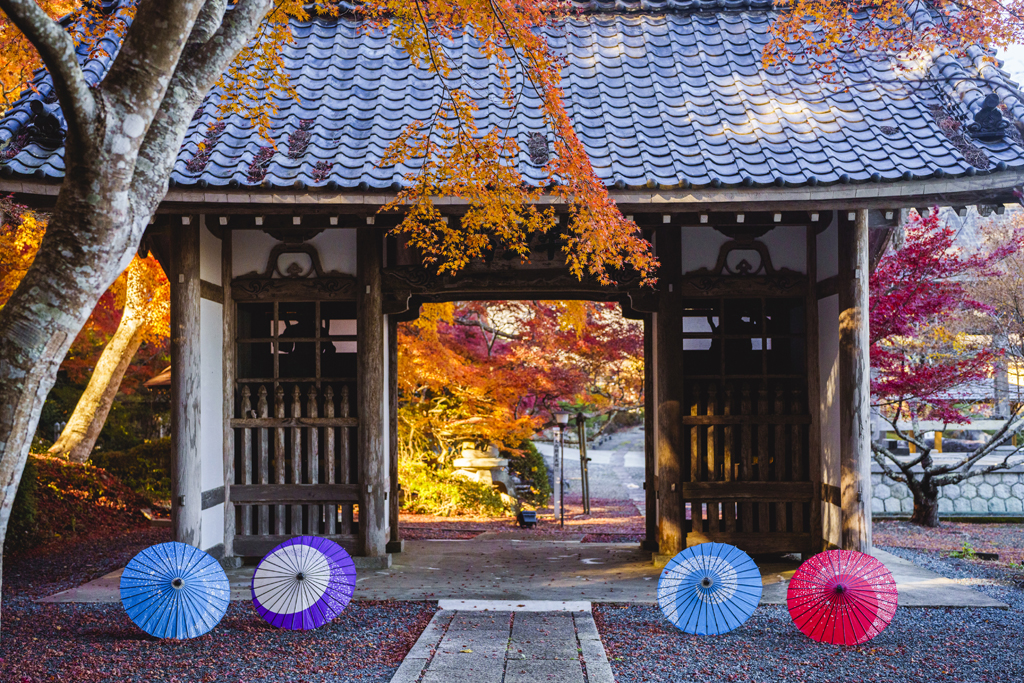 寳蔵寺