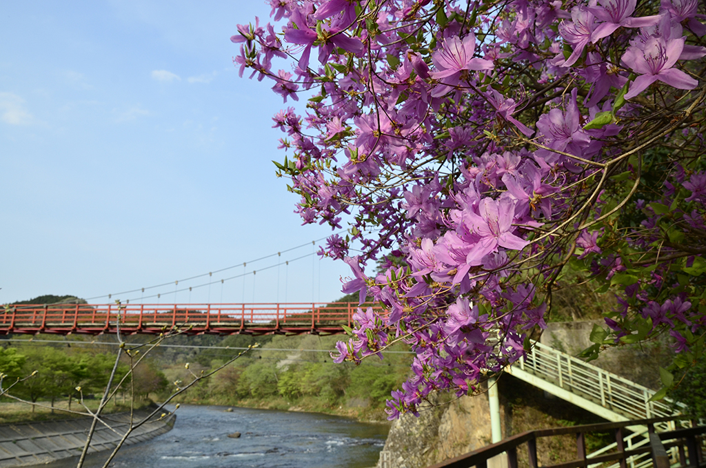 No.13588矢祭山 (矢祭町)(観光フォトライブラリ) 法人・教育・団体・メディアの皆様向け「ふくしまの旅」