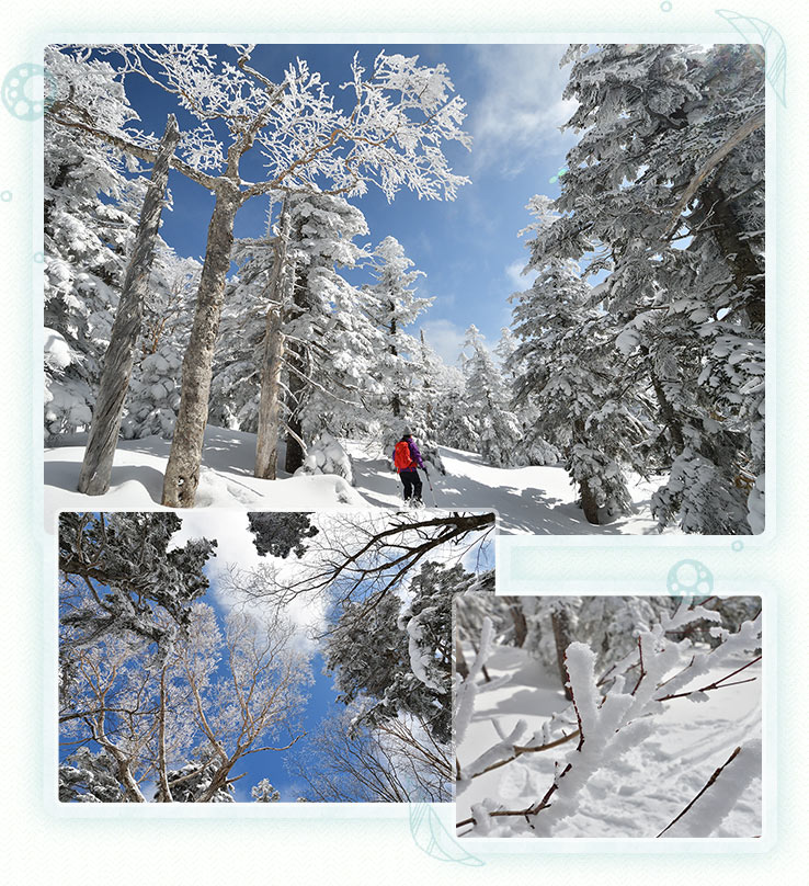 西吾妻山 リトルモンスターに逢いに 雪の百名山へ 登山と旅のコース案内 山からはじまる福島の旅 やまふく