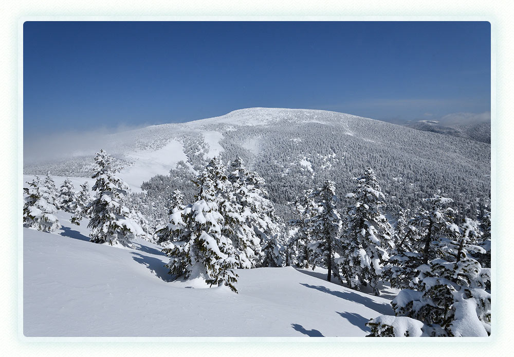 西吾妻山 リトルモンスターに逢いに 雪の百名山へ 登山と旅のコース案内 山からはじまる福島の旅 やまふく